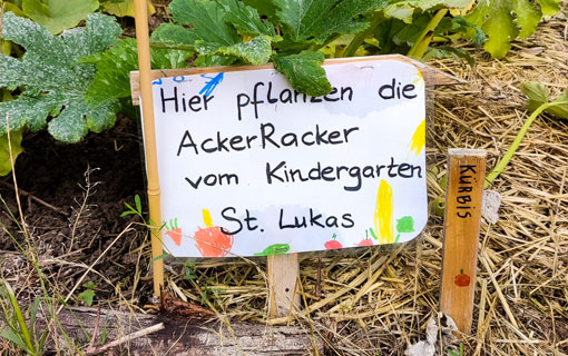 Ein Schild in einem bepflanzten Acker mit der Aufschrift: Hier pflanzen die AckerRacker vom Kindergarten St. Lukas